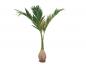 Preview: EUROPALMS Phönix Palme, Kunstpflanze, 240cm