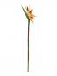 Preview: EUROPALMS Paradiesvogel-Blume, Kunstpflanze, orange, 95cm