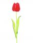 Preview: EUROPALMS Kristalltulpe, Kunstblume, rot, 61cm 12x