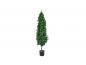 Preview: EUROPALMS Lorbeerkegelbaum, Kunstpflanze, 150cm