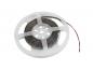 Preview: EUROLITE LED Strip 300 5m 3528 5700K 12V