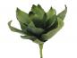 Preview: EUROPALMS Agave (EVA), künstlich, grün, 35cm