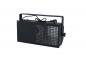 Preview: EUROLITE Black Floodlight 250W