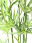 Preview: EUROPALMS Zyperngras, künstlich,76cm