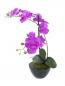 Preview: EUROPALMS Orchideen-Arrangement 4, künstlich
