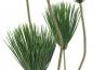 Preview: EUROPALMS Papyrus, Kunstpflanze, 130cm
