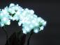 Preview: EUROPALMS Hortensie, weiß mit Blüten, 100 LEDs