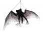 Preview: EUROPALMS Fledermaus, groß, Spannweite 120cm