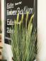 Preview: EUROPALMS Weizen Frühsommer, künstlich, 60cm