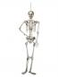 Preview: EUROPALMS Halloween Skelett, 150 cm