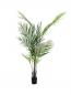 Preview: EUROPALMS Großblatt-Areca, Kunstpflanze, 165cm