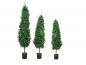 Preview: EUROPALMS Lorbeerkegelbaum, Kunstpflanze, 150cm