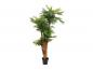 Preview: EUROPALMS Areca Palme, Kunstpflanze, 170cm