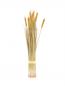 Preview: EUROPALMS Weizenbündel, künstlich, 60cm