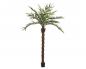 Preview: EUROPALMS Kentia Palme deluxe, Kunstpflanze  300cm
