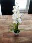 Preview: EUROPALMS Orchideen-Arrangement 1, künstlich