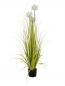 Preview: EUROPALMS Alliumgras, Kunstpflanze, weiß, 120 cm