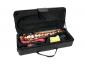Preview: DIMAVERY SP-30 Eb Altsaxophon, rot