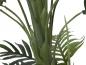 Preview: EUROPALMS Phönix Palme, Kunstpflanze, 160cm