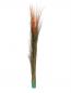 Preview: EUROPALMS Schilfgras, künstlich, hellbraun, 127cm