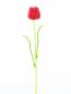Preview: EUROPALMS Kristalltulpe, Kunstblume, rot, 61cm 12x