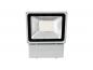 Preview: EUROLITE LED IP FL-100 6400K