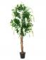 Preview: EUROPALMS Goldregenbaum, Kunstpflanze, weiß, 150cm