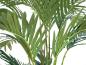 Preview: EUROPALMS Kanarische Dattelpalme, Kunstpflanze, 240cm
