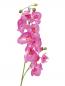 Preview: EUROPALMS Orchideenzweig, künstlich, lila, 100cm