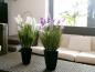 Preview: EUROPALMS Lavendel, Kunstpflanze, lila, im Dekotopf, 45cm