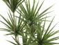 Preview: EUROPALMS Yucca Palme, Kunstpflanze, 130cm