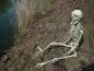 Preview: EUROPALMS Halloween Skelett, 150 cm