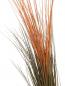 Preview: EUROPALMS Schilfgras, künstlich, hellbraun, 127cm