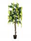 Preview: EUROPALMS Goldregenbaum, Kunstpflanze, gelb, 150cm