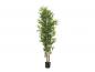 Preview: EUROPALMS Bambus deluxe, Kunstpflanze, 180cm
