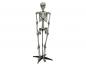 Preview: EUROPALMS Halloween Skelett stehend, 160cm