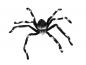 Preview: EUROPALMS Halloween Spinne 70 x14 x 5cm