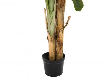 EUROPALMS Bananenbaum, Kunstpflanze, 240cm