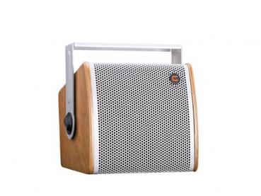 CELTO ACOUSTIQUE iFIX8 2-Wege Koaxial Lautsprecher natur/wei?