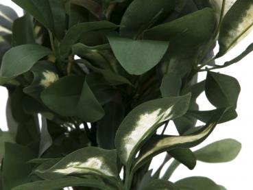 EUROPALMS Schefflera, künstlich, 90cm
