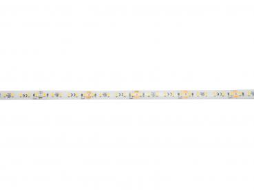 EUROLITE LED IP Strip 600 5m 2835 4000K 24V