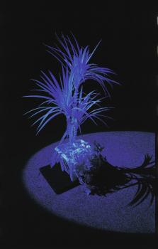 EUROPALMS Yucca, uv-weiß, künstlich,   90cm