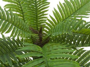 EUROPALMS Cycas Palme, Kunstpflanze, 70cm