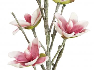 EUROPALMS Magnolienzweig (EVA), künstlich, weiß-rosa