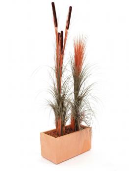 EUROPALMS Schilfgras mit Kolben, künstlich, hellbraun, 152cm