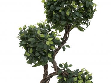 EUROPALMS Ficus Multi Spiralstamm, Kunstpflanze, 160cm