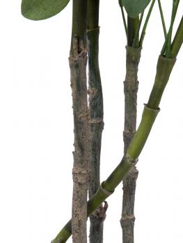 EUROPALMS Schefflera, künstlich, 90cm