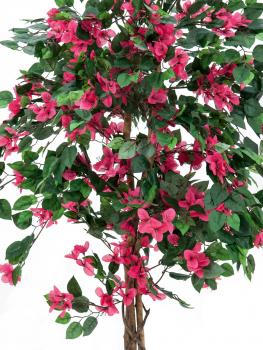 EUROPALMS Bougainvillea, Kunstpflanze, magenta, 180cm