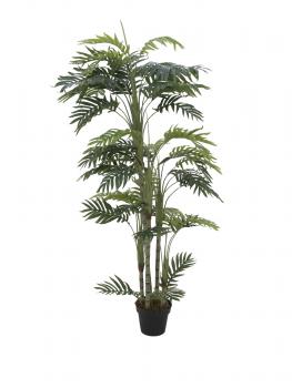 EUROPALMS Phönix Palme, Kunstpflanze, 160cm