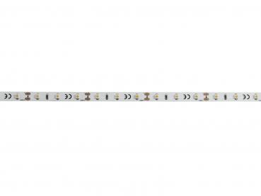 EUROLITE LED Strip 300 5m 3528 5700K 12V